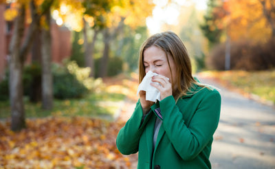 Tips for Fall Allergies