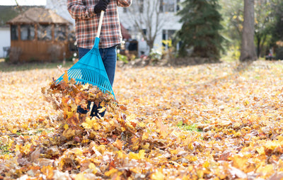 RZ® ASKS A PRO-LANDSCAPER: How should you prep your yard for winter?