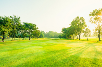 RZ® ASKS A PRO LANDSCAPER: How Do You Get Green Grass All Summer?