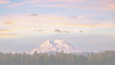 The Great Outdoors Sweepstakes!