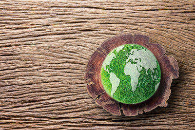 6 Tips for More Sustainable Woodworking
